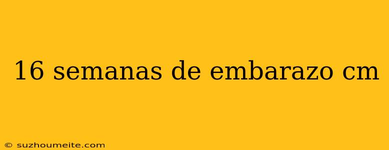 16 Semanas De Embarazo Cm