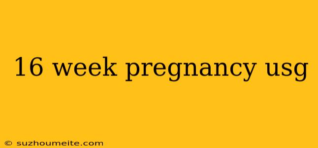 16 Week Pregnancy Usg