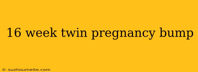 16 Week Twin Pregnancy Bump