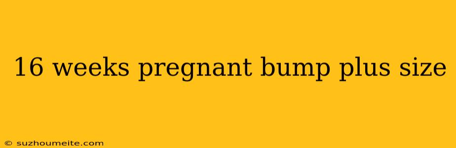 16 Weeks Pregnant Bump Plus Size