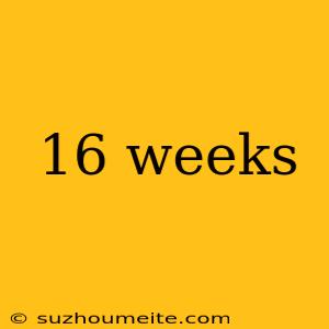 16 Weeks