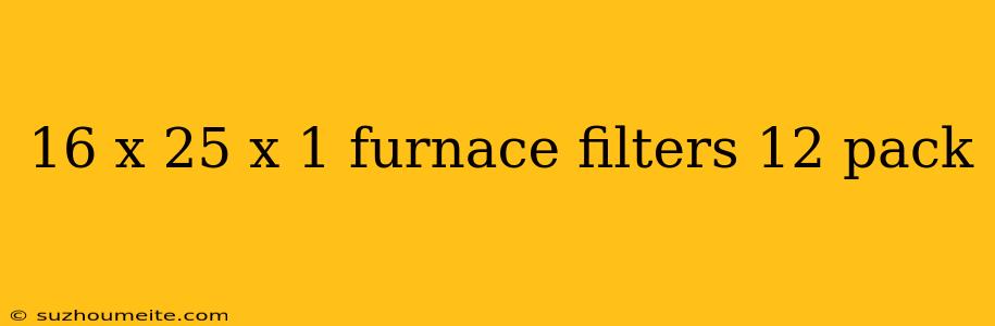 16 X 25 X 1 Furnace Filters 12 Pack