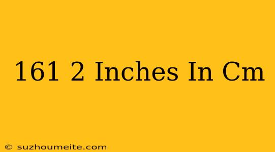 161⁄2 Inches In Cm