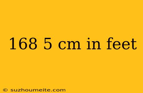 168 5 Cm In Feet