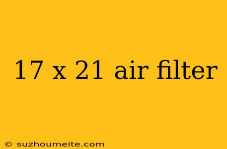 17 X 21 Air Filter