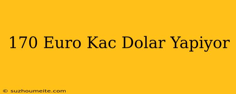 170 Euro Kaç Dolar Yapıyor