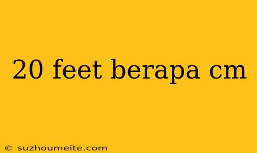 20 Feet Berapa Cm