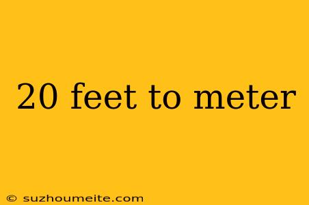 20 Feet To Meter