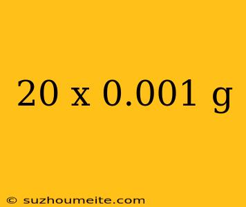 20 X 0.001 G