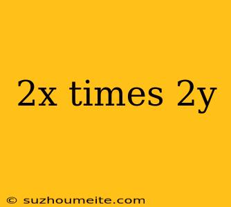 2x Times 2y