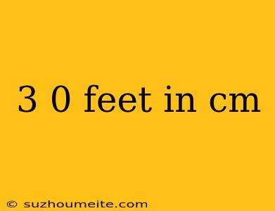 3 0 Feet In Cm