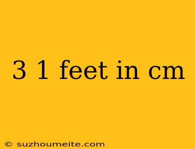 3 1 Feet In Cm