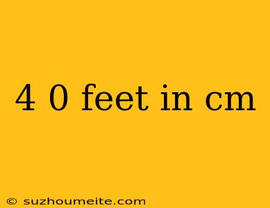 4 0 Feet In Cm