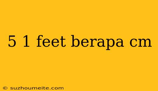 5 1 Feet Berapa Cm