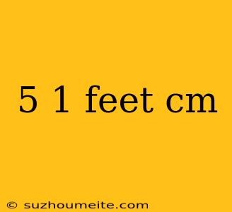 5 1 Feet Cm