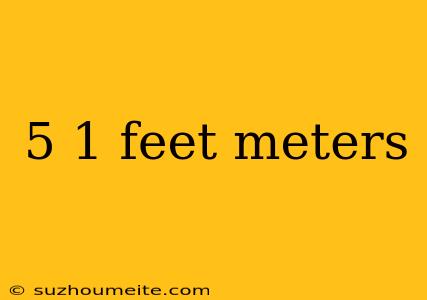 5 1 Feet Meters