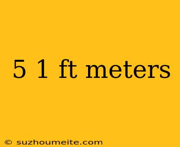 5 1 Ft Meters