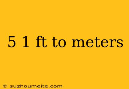 5 1 Ft To Meters