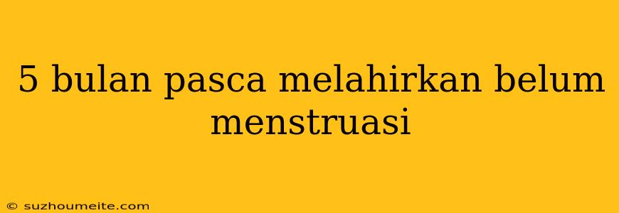 5 Bulan Pasca Melahirkan Belum Menstruasi