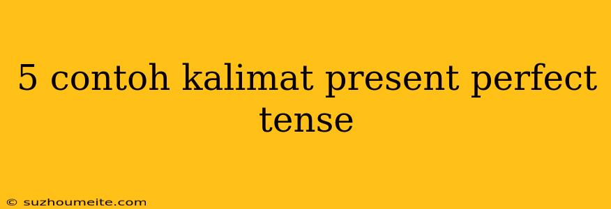 5 Contoh Kalimat Present Perfect Tense