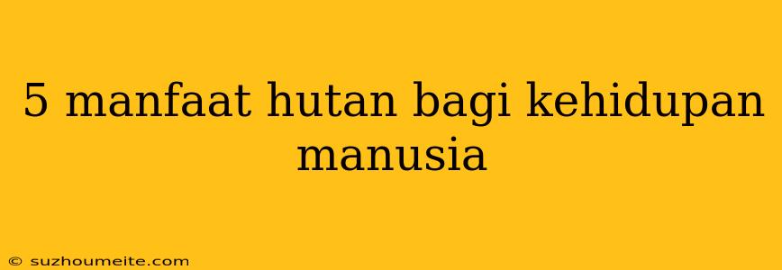 5 Manfaat Hutan Bagi Kehidupan Manusia