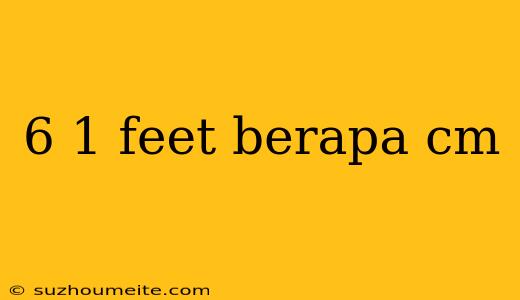 6 1 Feet Berapa Cm