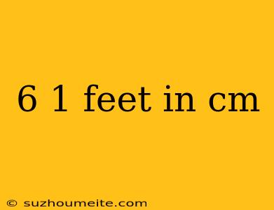 6 1 Feet In Cm