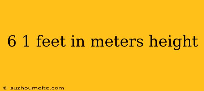 6 1 Feet In Meters Height