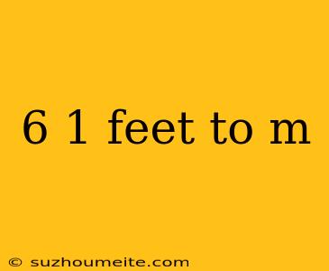 6 1 Feet To M