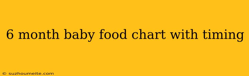 6 Month Baby Food Chart With Timing