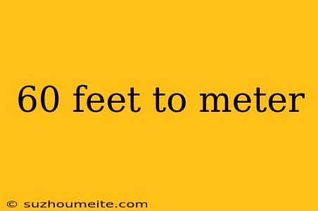 60 Feet To Meter