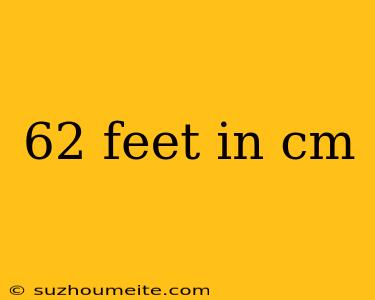 62 Feet In Cm