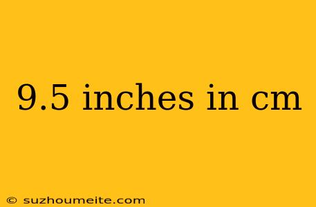 9.5 Inches In Cm