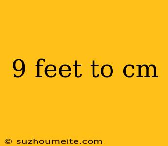 9 Feet To Cm