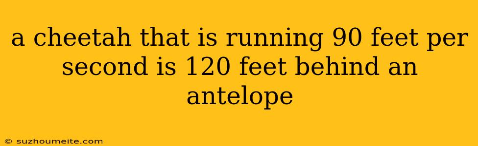 A Cheetah That Is Running 90 Feet Per Second Is 120 Feet Behind An Antelope