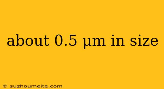 About 0.5 Μm In Size