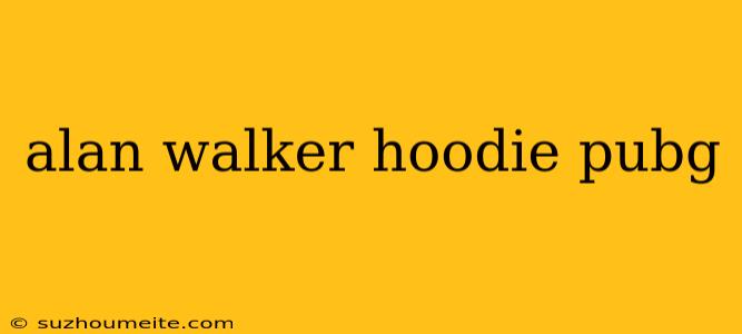 Alan Walker Hoodie Pubg