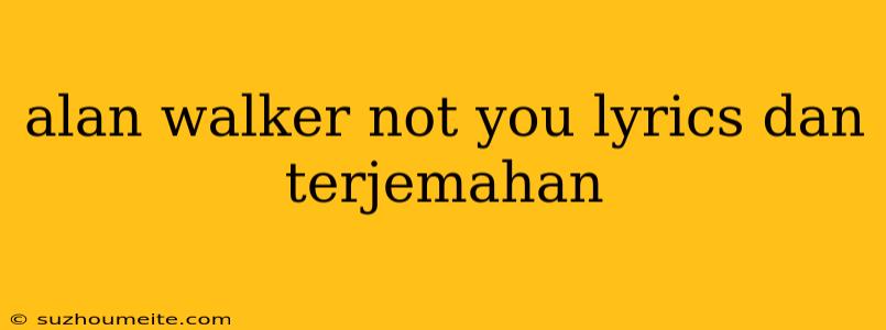 Alan Walker Not You Lyrics Dan Terjemahan