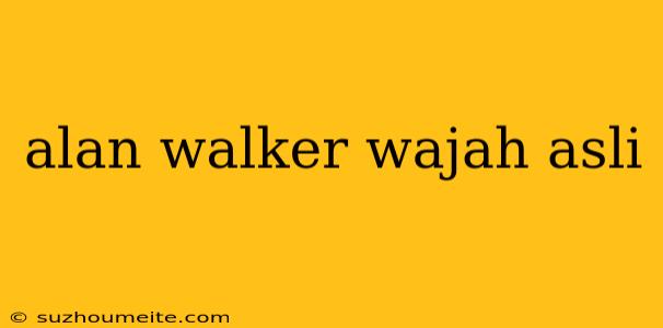 Alan Walker Wajah Asli