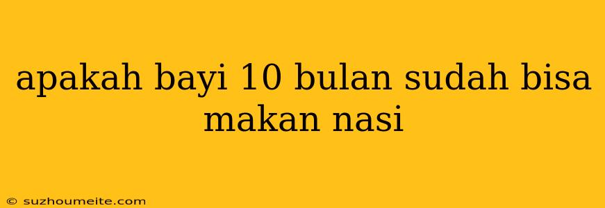 Apakah Bayi 10 Bulan Sudah Bisa Makan Nasi