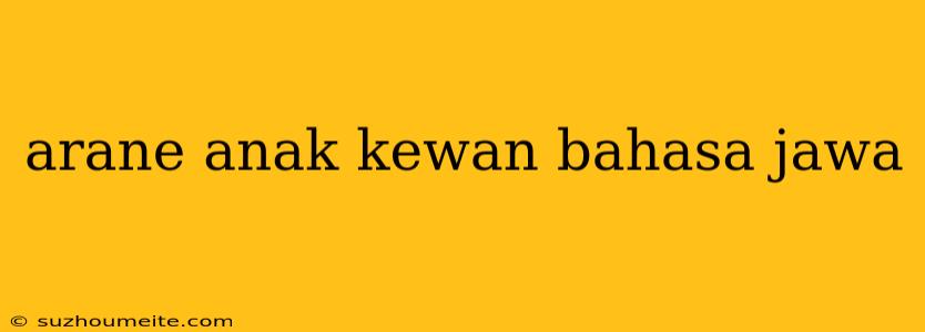 Arane Anak Kewan Bahasa Jawa