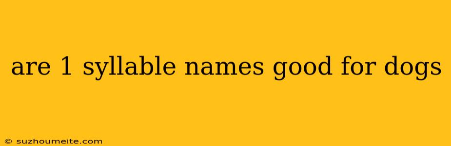 Are 1 Syllable Names Good For Dogs