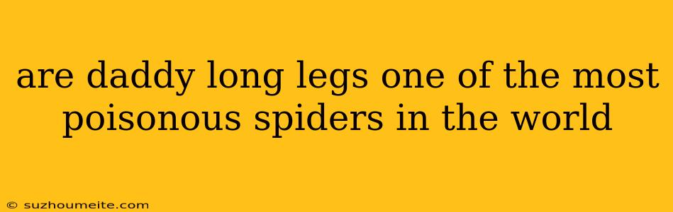 Are Daddy Long Legs One Of The Most Poisonous Spiders In The World