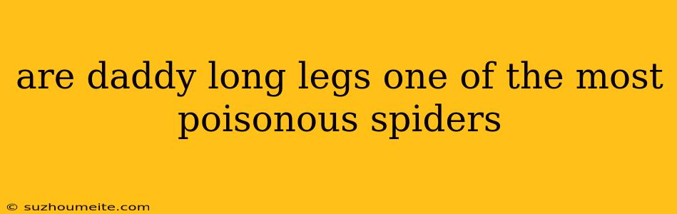 Are Daddy Long Legs One Of The Most Poisonous Spiders