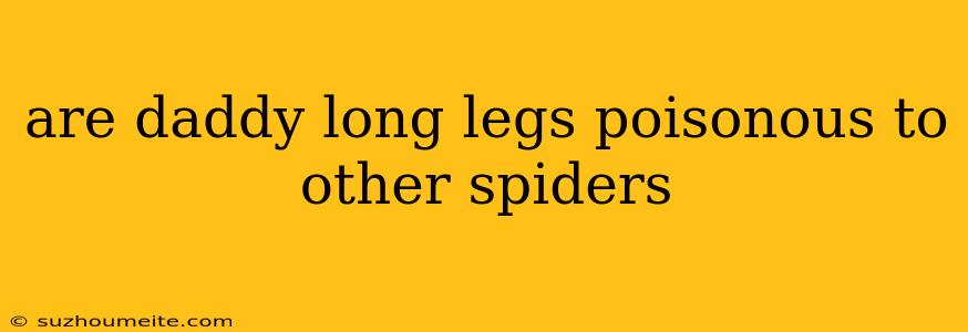 Are Daddy Long Legs Poisonous To Other Spiders