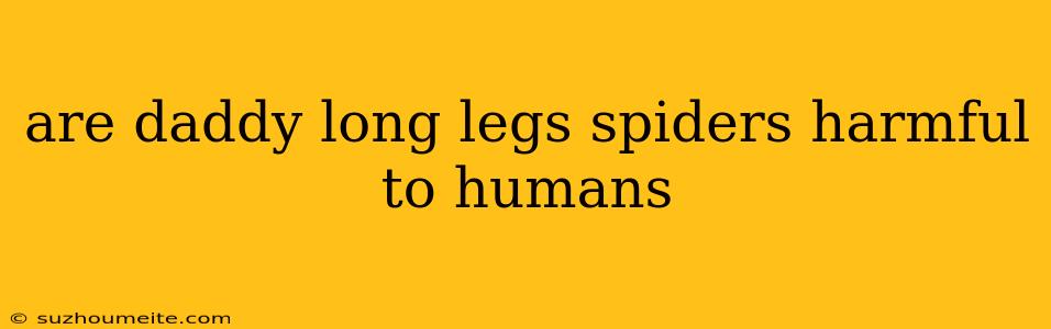 Are Daddy Long Legs Spiders Harmful To Humans