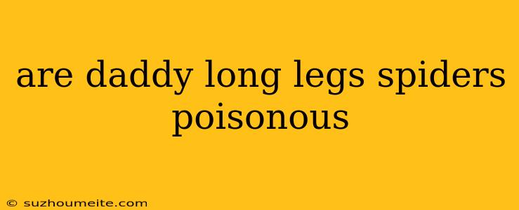 Are Daddy Long Legs Spiders Poisonous