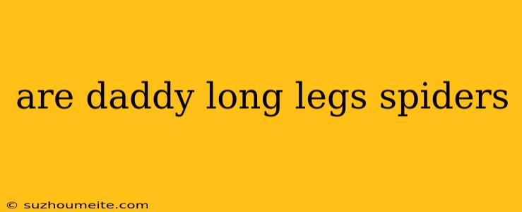 Are Daddy Long Legs Spiders