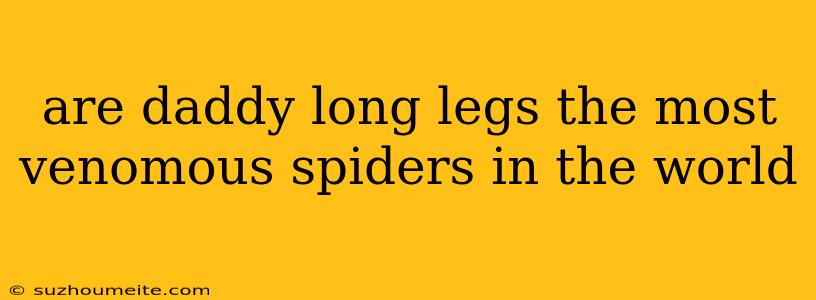 Are Daddy Long Legs The Most Venomous Spiders In The World