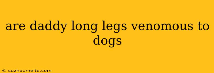 Are Daddy Long Legs Venomous To Dogs